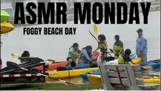 ASMR Monday! Foggy Beach Day. Black Skimmers! Gator! Kayaks!