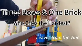 Three Bows & One Brick Who Cries the Hardest?Leaves from the Vine