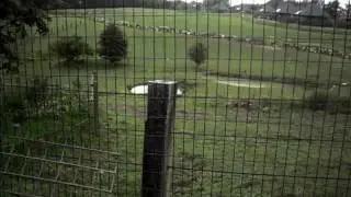 SDC10894