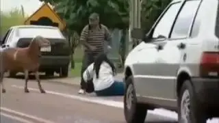 A Goat Terrorise The City