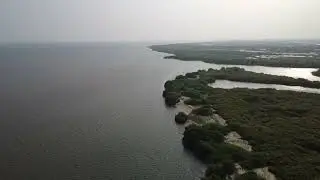 KARANKADU | RAMANATHAPURAM | NORTH SEA | MANGROVE FORESTS 
