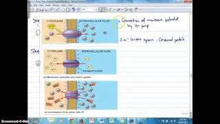 Ch. 3F Nutrient transport by Active Transport with H+ pumps