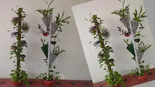 Gardening ideas with PVC pipes | DIY Gardening