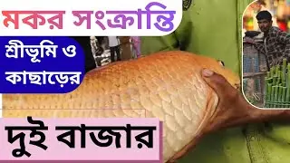 মকর সংক্রান্তির বাজার Exciting footage of two Fish Market #youtube #vlog