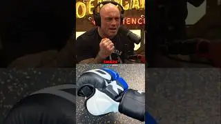 👊Joe Rogan on the Best MMA Gloves🥊