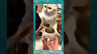 menghibur diri sendiri #meme