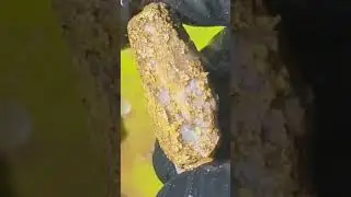 Removing quartz and other minerals from this gold with water gun #shortsvideo #shorts