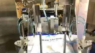 Nutrient soil premade pouches filling and sealing machine multi heads weighing system rotary type