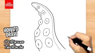 How to draw Octopus Tentacle