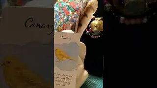 Divine Feather Messenger General Reading 💝💝💝