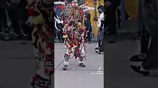 As&iacute; enamora un TINKU