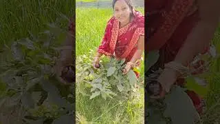 Hamara kitchen background block #youtube #video #Radhe Radhe#Jay Shri Krishna#good 🌅🌅