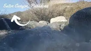 Nature Day in LA
