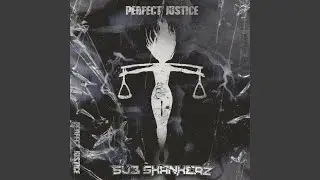 Perfect Justice