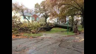 Insurance life quotes,