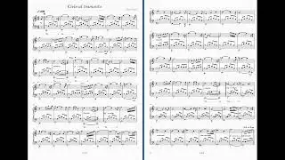 Cielo al tramonto ( Level 2 ) - Theo Visser