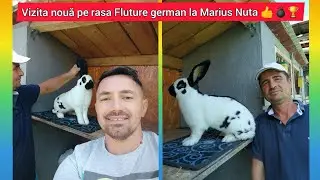 O vizita mult așteptată pe rasa fluture german la Marius Nuta septembrie 2020🔝🏆💣