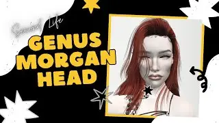 Second Life 2024  l  Genus Margo Morph Head $100L K9 Saturday Sale  l  Restless Pixel