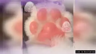 Faux Furs Plush Cats Claw Gloves Fursuit Animal Foxes Paws Mittens Halloween Cosplay Costume Accesso