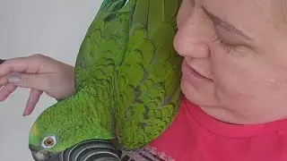 BICUDO GRUDOU EM MIM