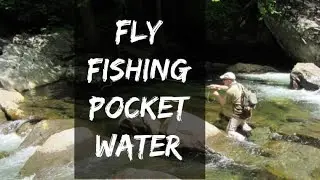 Fly Fish Pocket Water- Fishy Water