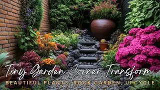 🪻🪴 Tiny Garden Corner Transformation with Beautiful Plants, Rock Garden Ideas & Upcycled Materials