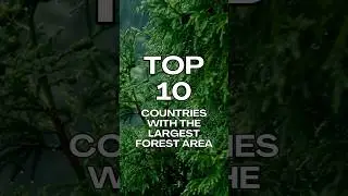 🌳 Top 10 Countries with the Largest Forests 🌍 | Nature's Giants Revealed!