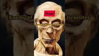 Enemies of Islam
