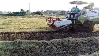 Claas Crop tiger 30