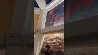 Dinosaur Waiting Area Murals 360 Panorama, Disney&rsquo;s Animal Kingdom, #orlandofl, Feb. 2025