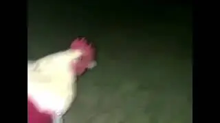 Got my red dress on tonight chicken vine
