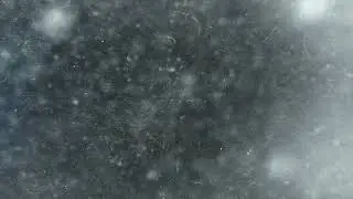 old paper with dirty texture animation 4K