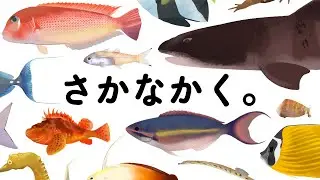 【お絵描き配信】さかなかく！ところで今週末2周年なんですが！？【Fish Drawing】 ＃にたりん電波あり #個人勢VTuber #お絵描き