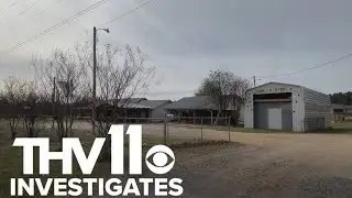 State orders Arkansas chicken farm to clean waste runoff after complaints from neighbors