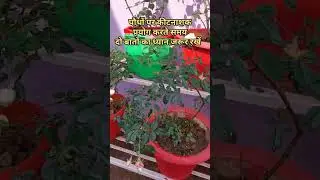 How to use Insecticide on Plants #Three Precautions while using pesticides on plants