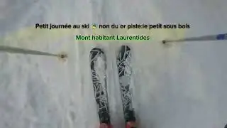 Petit sous bois au mont habitant Laurentides 🎿 ⛷️ 