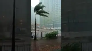 8oktober2021(shun tin kwuntong taifung T3 hongkong)