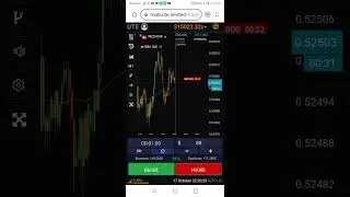 стратегия бинарных опционов UTE.LIMITED 357