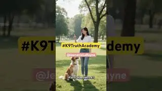 Поведение собак и как его понять. @jeanettelaraynetv1213