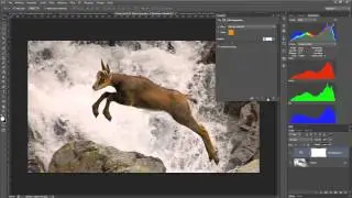 Corso Completo di Photoshop CS6:  Vividezza, Filtro Fotografico e Bilanciamento Colore