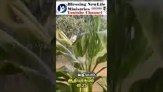 Tamil Bible Verse  Status / 20-06-2022