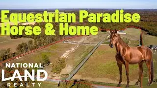 Horse farm on 29 acres with home and barn for sale in North Carolina!