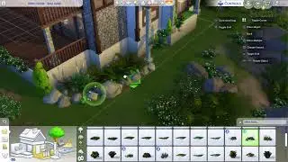 WOMAN sims