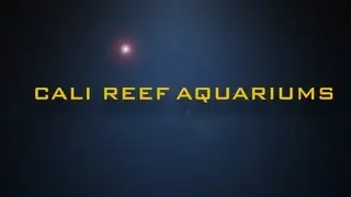 How To Run Biopellets