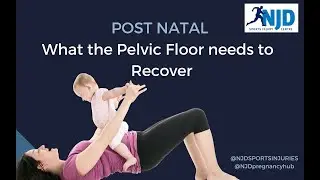Post Natal-  Pelvic floor recovery