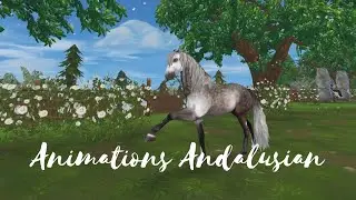 SSO SPOILER ANIMATIONS | Andalusians