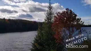 Fall Colors in Algonquin Park Highway 60 Corridor