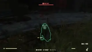 Fallout 76 PS4 BETA gameplay Day 2