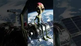 Starlink Siesta #alienperspective #alienlife #planet #planetprotection #warandpeace #intelligentlife