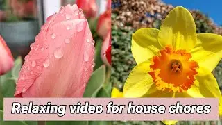 Flowers Video for Relaxation/Amazing Nature 2021 UK